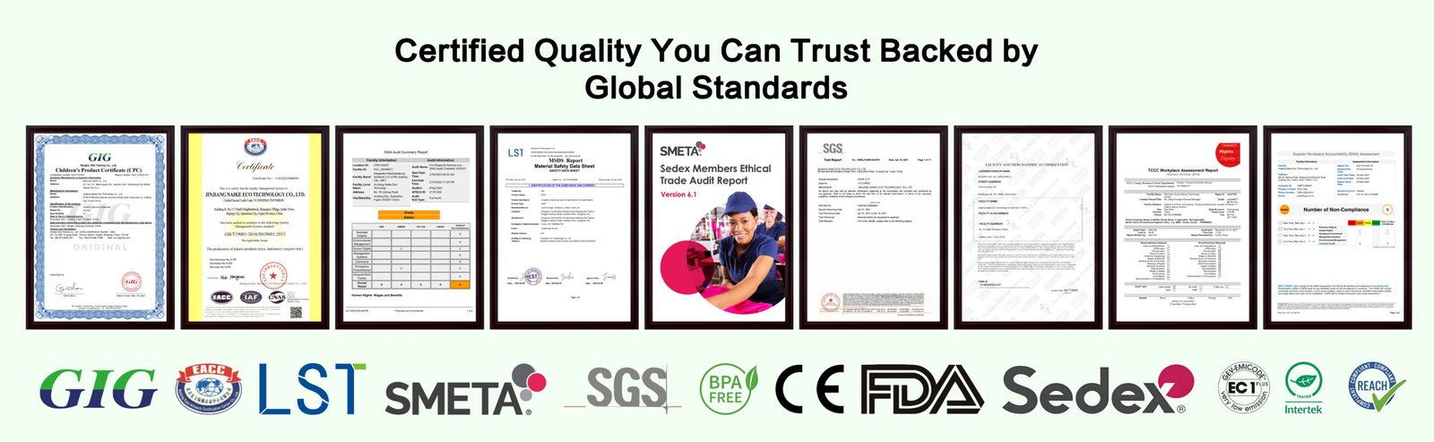 Inside our Wheat Straw Tableware Manufacturer Certificate