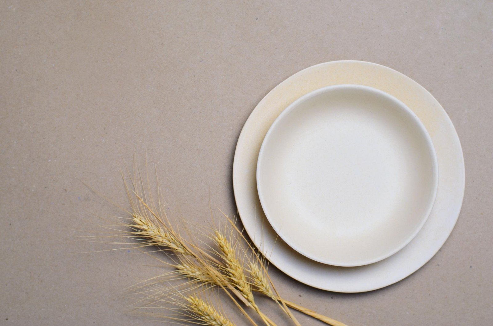Wheat Straw Dinnerware Trend